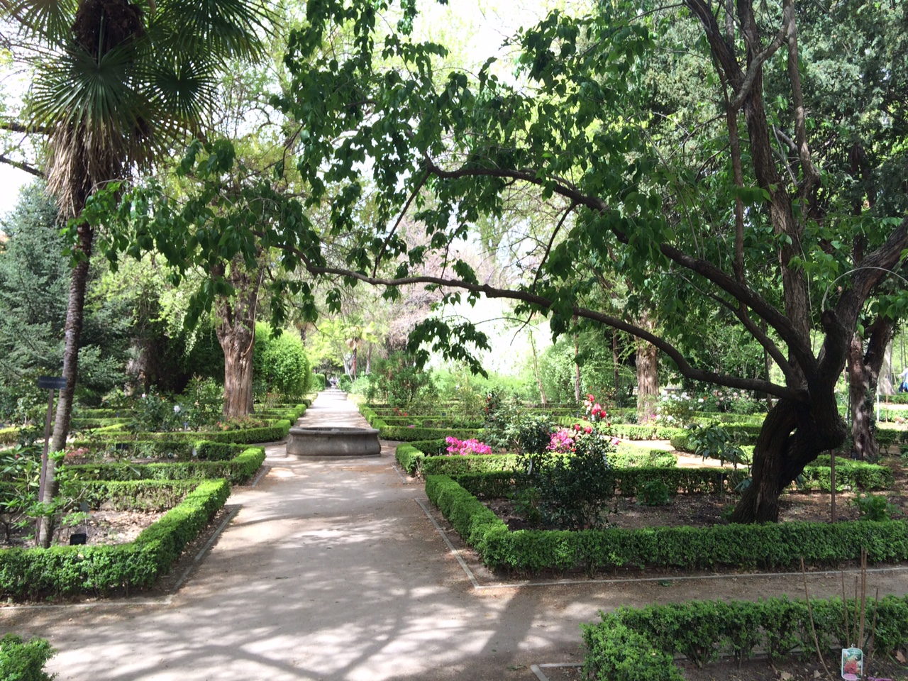 Jardín botánico de Madrid en primavera