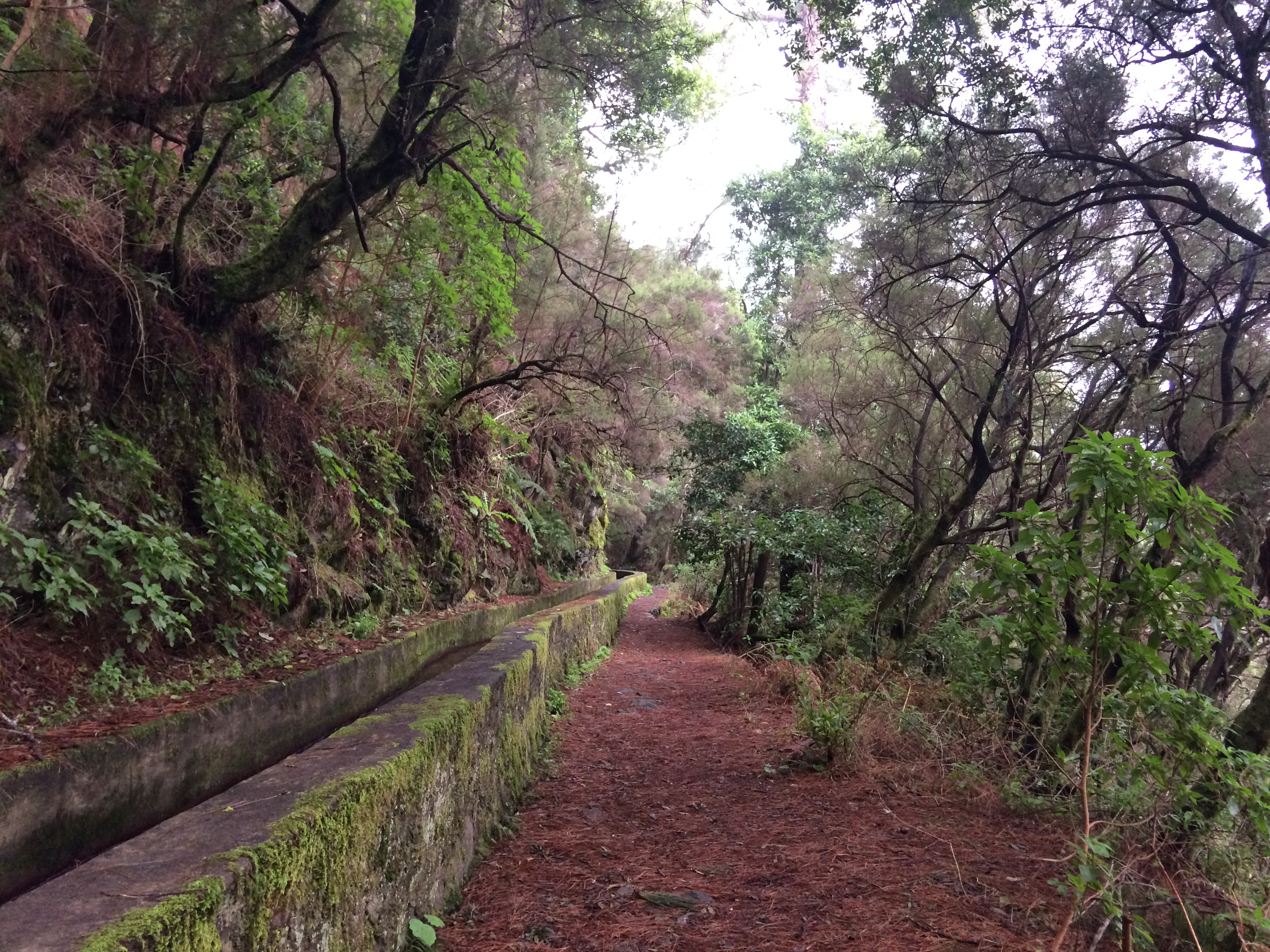 Ruta de Marcos y Cordero en La Palma