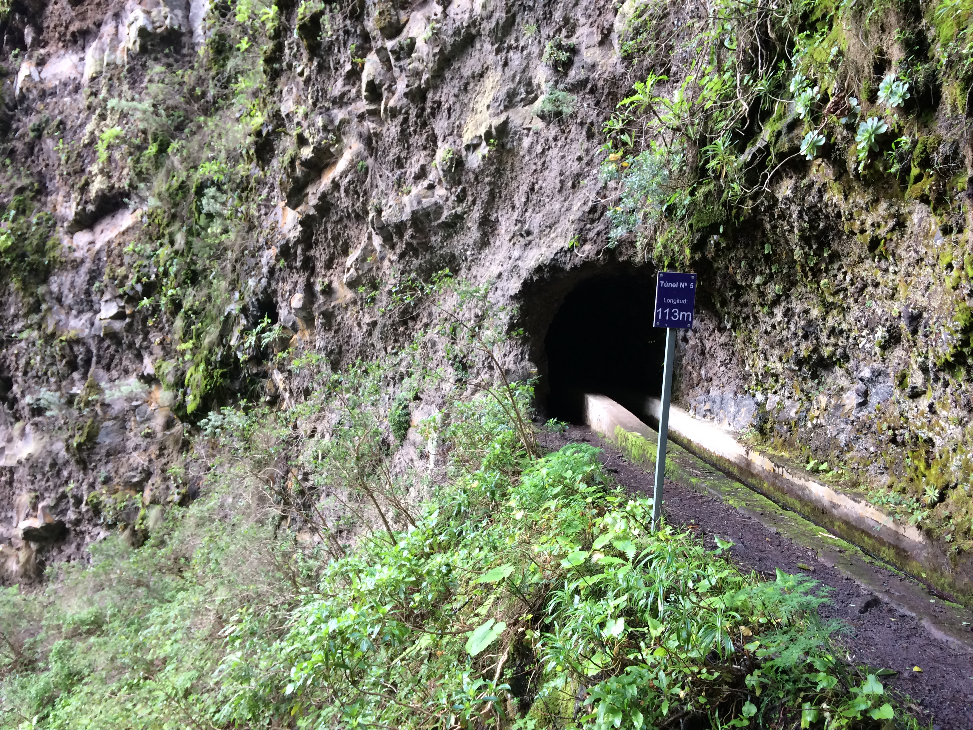 Ruta de Marcos y Cordero en La Palma