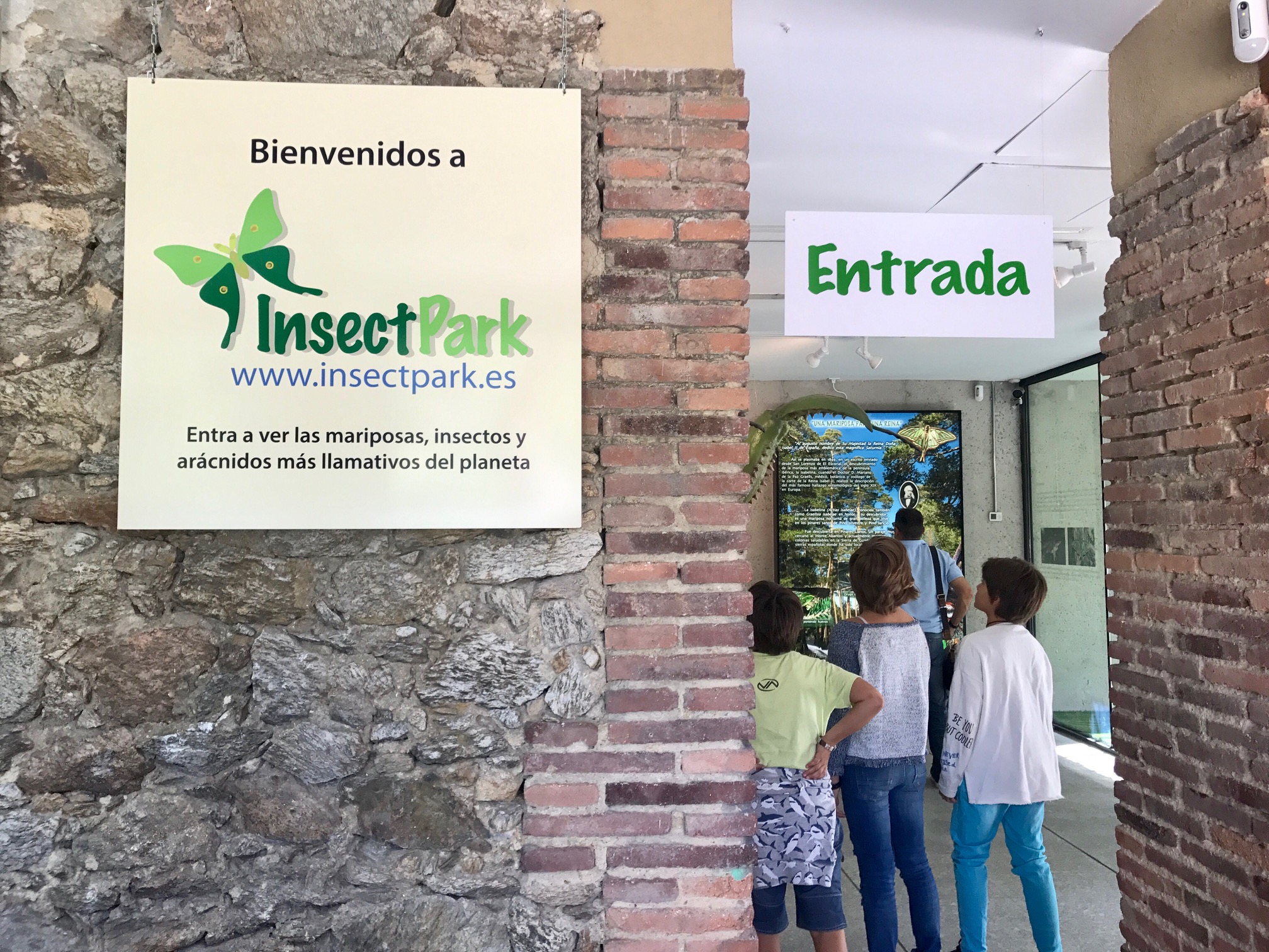 Bicho palo en Insect Park (El Escorial/ Madrid)